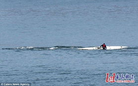 男子划小艇观赏鲸鱼 离得太近被鲸撞落水中 图