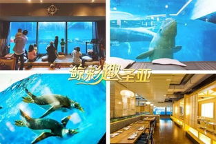圣亚年卡火热开售中 40余家馆内 鲸mall美食商品享折扣 365天无限潮玩